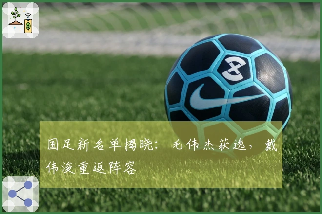 国足新名单揭晓：毛伟杰获选，戴伟浚重返阵容