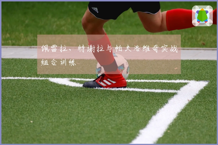 佩雷拉、特谢拉与帕夫洛维奇实战组合训练